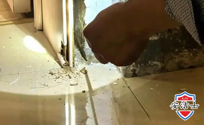 嘉定区房屋建筑防治白蚁