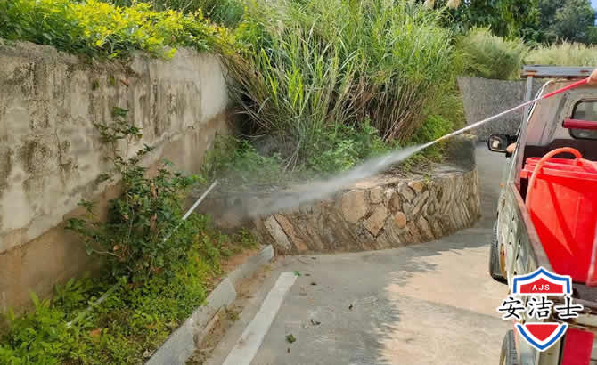 嘉定区道路堤坝白蚁防治