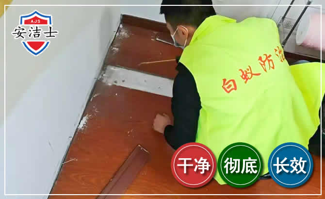 嘉定区除四害现场