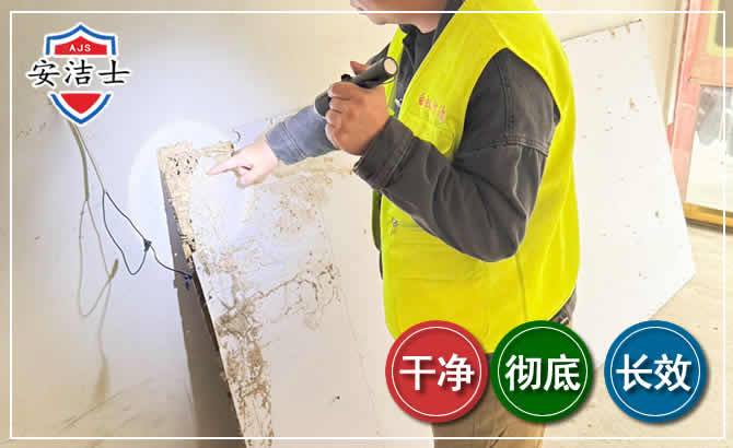 嘉定区除白蚁现场