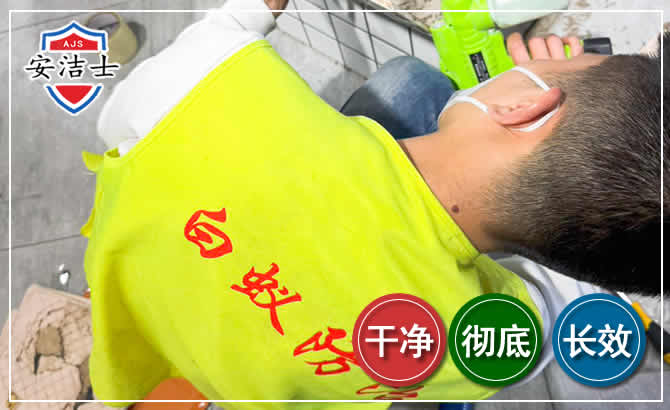 嘉定区白蚁根治现场